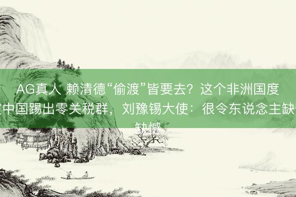 AG真人 赖清德“偷渡”皆要去？这个非洲国度被中国踢出零关税群，刘豫锡大使：很令东说念主缺憾