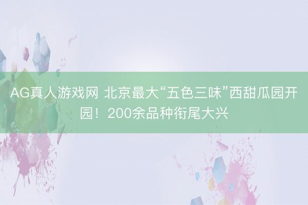 AG真人游戏网 北京最大“五色三味”西甜瓜园开园！200余品种衔尾大兴