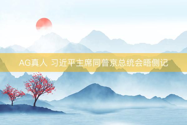 AG真人 习近平主席同普京总统会晤侧记