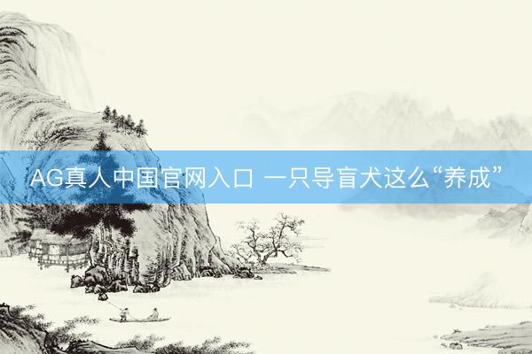 AG真人中国官网入口 一只导盲犬这么“养成”