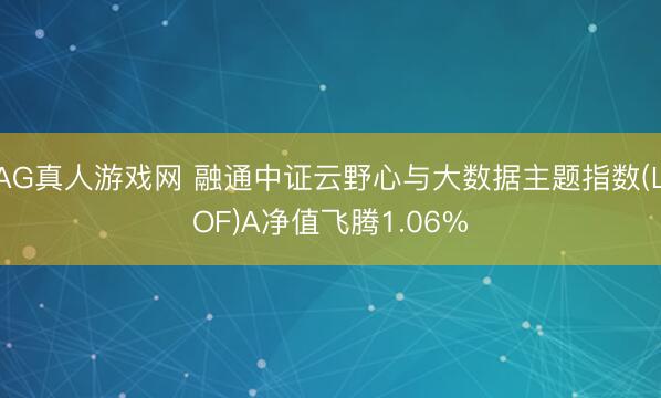 AG真人游戏网 融通中证云野心与大数据主题指数(LOF)A净值飞腾1.06%