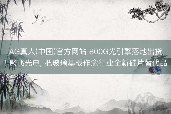 AG真人(中国)官方网站 800G光引擎落地出货! 聚飞光电, 