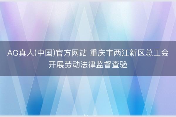 AG真人(中国)官方网站 重庆市两江新区总工会开展劳动法律监督查验