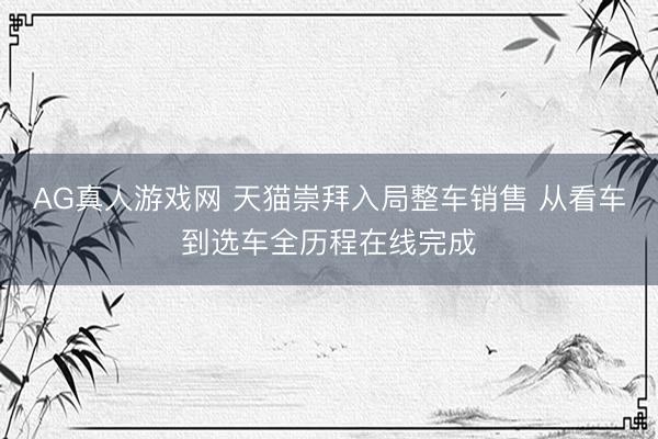 AG真人游戏网 天猫崇拜入局整车销售 从看车到选车全历程在线完成