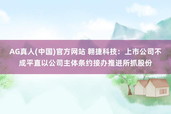 AG真人(中国)官方网站 翱捷科技：上市公司不成平直以公司主体条约接办推进所抓股份